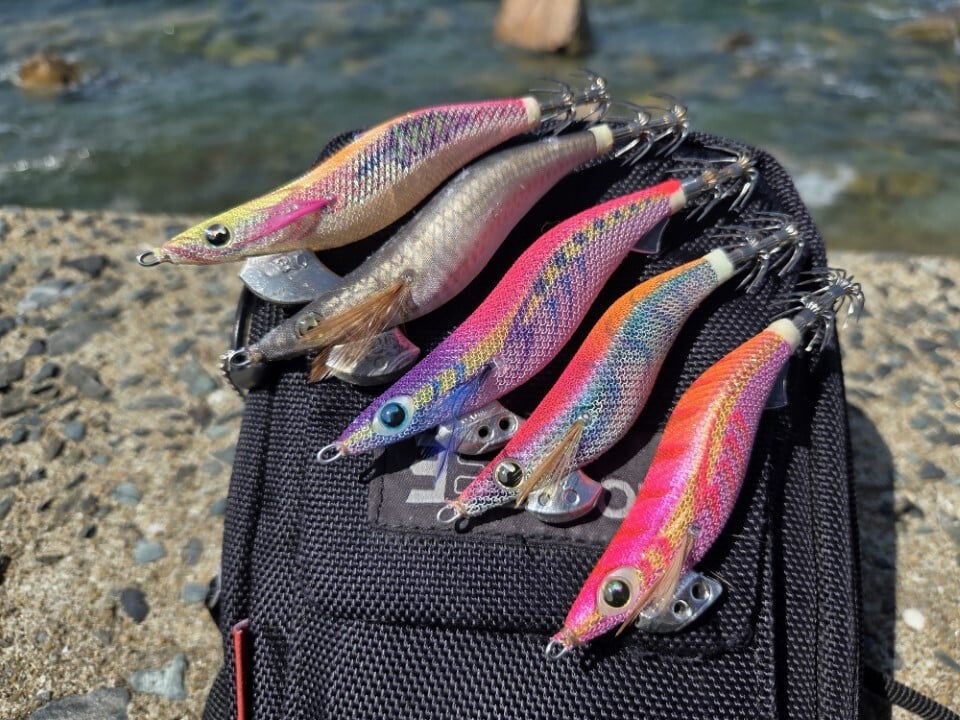 ゼロから始める秋イカエギング入門マニュアル】基礎知識と実践